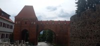 20220730_104118.jpg 20220730_104118.jpg