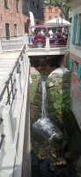 20220730_104250.jpg 20220730_104250.jpg