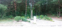 20220730_162546.jpg 20220730_162546.jpg