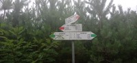 20220730_165804.jpg 20220730_165804.jpg
