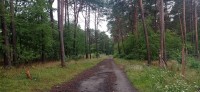 20220731_112612.jpg 20220731_112612.jpg
