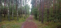 20220731_114334.jpg 20220731_114334.jpg