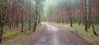 20220731_114826.jpg 20220731_114826.jpg