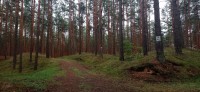 20220731_121655.jpg 20220731_121655.jpg