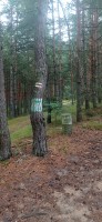 20220731_122926.jpg 20220731_122926.jpg