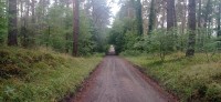 20220731_125103.jpg 20220731_125103.jpg
