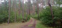 20220731_142802.jpg 20220731_142802.jpg