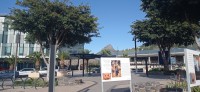 20220820_092502.jpg 20220820_092502.jpg