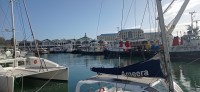 20220820_095037.jpg 20220820_095037.jpg