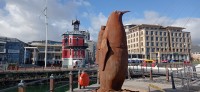 20220820_095047.jpg 20220820_095047.jpg
