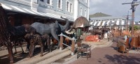 20220820_095147.jpg 20220820_095147.jpg