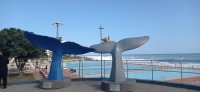 20220820_112224.jpg 20220820_112224.jpg
