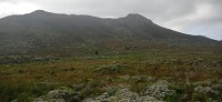 20220824_110738.jpg 20220824_110738.jpg