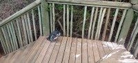 20220824_145003.jpg 20220824_145003.jpg