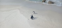 20220824_145040.jpg 20220824_145040.jpg
