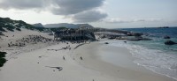 20220824_145046.jpg 20220824_145046.jpg