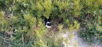 20220824_145726.jpg 20220824_145726.jpg
