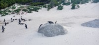 20220824_145951.jpg 20220824_145951.jpg