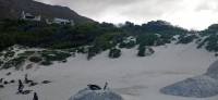 20220824_145953.jpg 20220824_145953.jpg