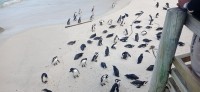 20220824_150034.jpg 20220824_150034.jpg