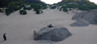 20220824_150106.jpg 20220824_150106.jpg