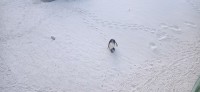20220824_150135.jpg 20220824_150135.jpg