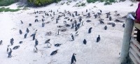 20220824_150235.jpg 20220824_150235.jpg