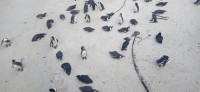 20220824_150243.jpg 20220824_150243.jpg