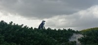 20220824_150615.jpg 20220824_150615.jpg