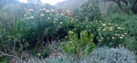 20220824_164715.jpg 20220824_164715.jpg
