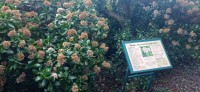 20220824_164800.jpg 20220824_164800.jpg