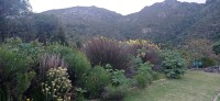 20220824_165213.jpg 20220824_165213.jpg