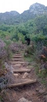 20220824_165726.jpg 20220824_165726.jpg