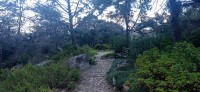 20220824_170745.jpg 20220824_170745.jpg