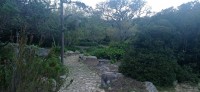 20220824_170901.jpg 20220824_170901.jpg