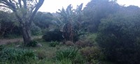 20220824_170921.jpg 20220824_170921.jpg