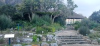 20220824_171315.jpg 20220824_171315.jpg