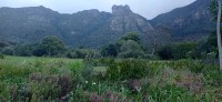 20220824_171655.jpg 20220824_171655.jpg