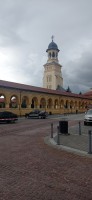20220922_135936.jpg 20220922_135936.jpg