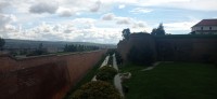 20220922_140949.jpg 20220922_140949.jpg