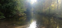 20221007_161252.jpg 20221007_161252.jpg