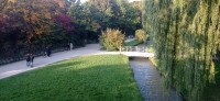 20221007_165417.jpg 20221007_165417.jpg