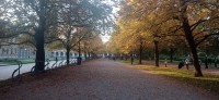 20221007_170936.jpg 20221007_170936.jpg