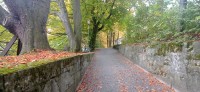 20221008_100029.jpg 20221008_100029.jpg