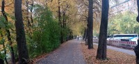 20221008_100114.jpg 20221008_100114.jpg