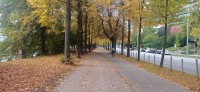 20221008_100441.jpg 20221008_100441.jpg