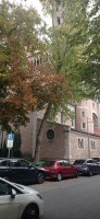20221008_101450.jpg 20221008_101450.jpg