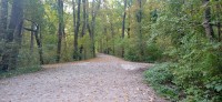 20221008_110658.jpg 20221008_110658.jpg