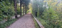 20221008_111203.jpg 20221008_111203.jpg