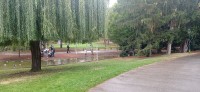 20221022_131534.jpg 20221022_131534.jpg